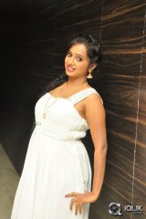 Nakshatra At Rojulu Marayi Audio Launch